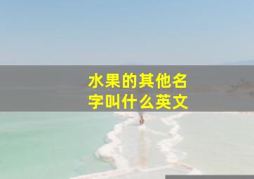 水果的其他名字叫什么英文