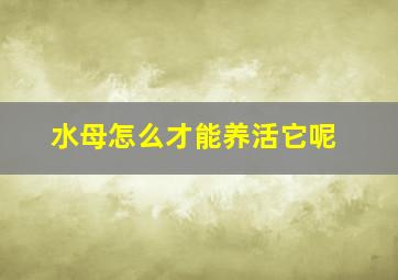 水母怎么才能养活它呢