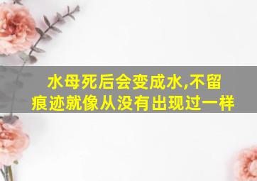 水母死后会变成水,不留痕迹就像从没有出现过一样