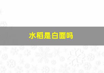 水稻是白面吗