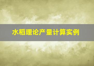 水稻理论产量计算实例