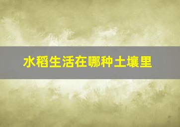 水稻生活在哪种土壤里