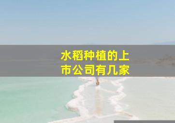 水稻种植的上市公司有几家