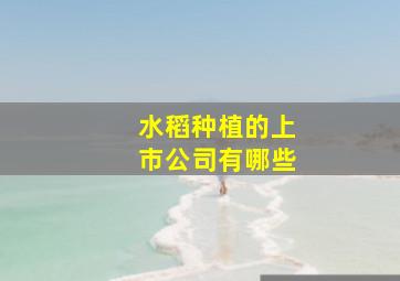 水稻种植的上市公司有哪些