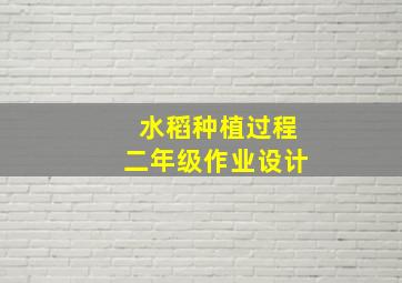 水稻种植过程二年级作业设计