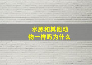 水豚和其他动物一样吗为什么