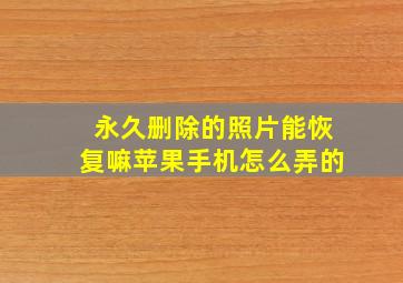 永久删除的照片能恢复嘛苹果手机怎么弄的