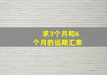 求3个月和6个月的远期汇率