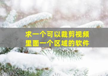 求一个可以裁剪视频里面一个区域的软件