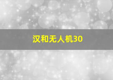 汉和无人机30