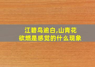 江碧鸟逾白,山青花欲燃是感觉的什么现象