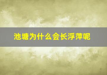 池塘为什么会长浮萍呢