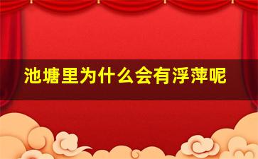 池塘里为什么会有浮萍呢