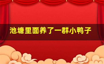 池塘里面养了一群小鸭子