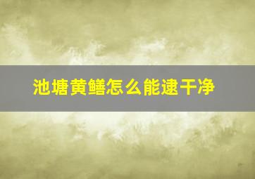 池塘黄鳝怎么能逮干净