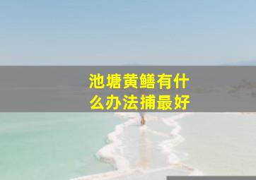 池塘黄鳝有什么办法捕最好