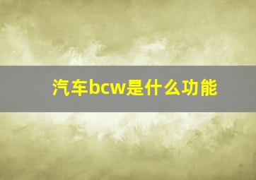 汽车bcw是什么功能