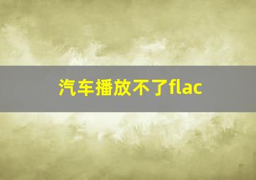 汽车播放不了flac