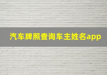 汽车牌照查询车主姓名app