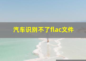 汽车识别不了flac文件