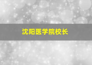 沈阳医学院校长