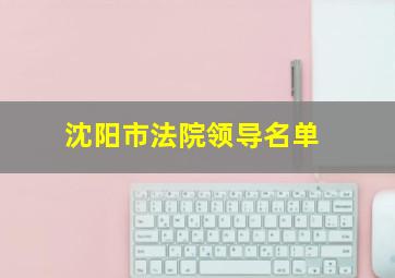 沈阳市法院领导名单