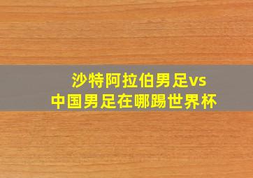 沙特阿拉伯男足vs中国男足在哪踢世界杯