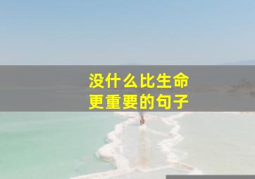 没什么比生命更重要的句子