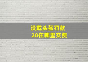 没戴头盔罚款20在哪里交费