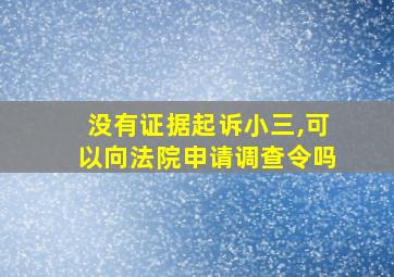 没有证据起诉小三,可以向法院申请调查令吗