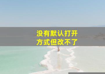 没有默认打开方式但改不了