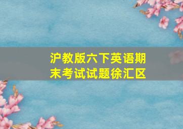 沪教版六下英语期末考试试题徐汇区