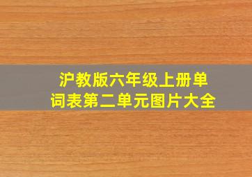 沪教版六年级上册单词表第二单元图片大全