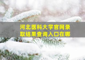 河北医科大学官网录取结果查询入口在哪