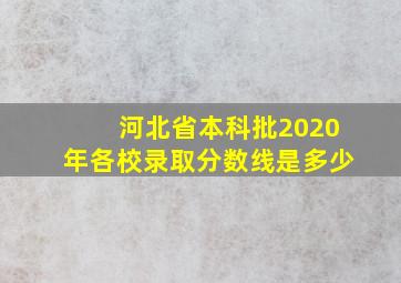 河北省本科批2020年各校录取分数线是多少