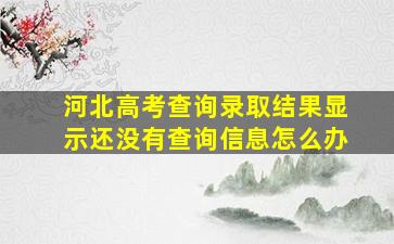 河北高考查询录取结果显示还没有查询信息怎么办