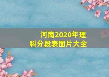 河南2020年理科分段表图片大全