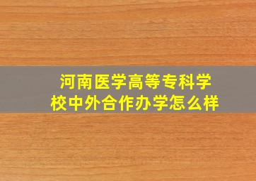 河南医学高等专科学校中外合作办学怎么样