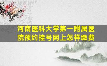 河南医科大学第一附属医院预约挂号网上怎样缴费