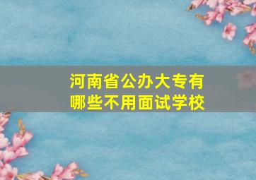 河南省公办大专有哪些不用面试学校