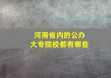 河南省内的公办大专院校都有哪些