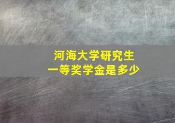 河海大学研究生一等奖学金是多少