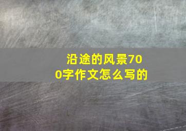 沿途的风景700字作文怎么写的