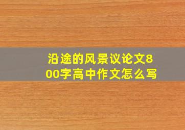 沿途的风景议论文800字高中作文怎么写