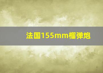 法国155mm榴弹炮