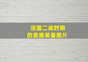 法国二战时期的武器装备图片