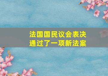 法国国民议会表决通过了一项新法案