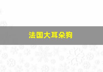 法国大耳朵狗