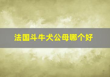 法国斗牛犬公母哪个好