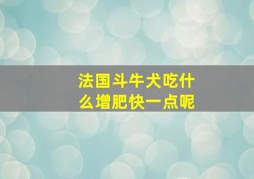 法国斗牛犬吃什么增肥快一点呢